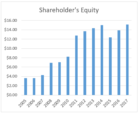 Graph of shareholder's equity